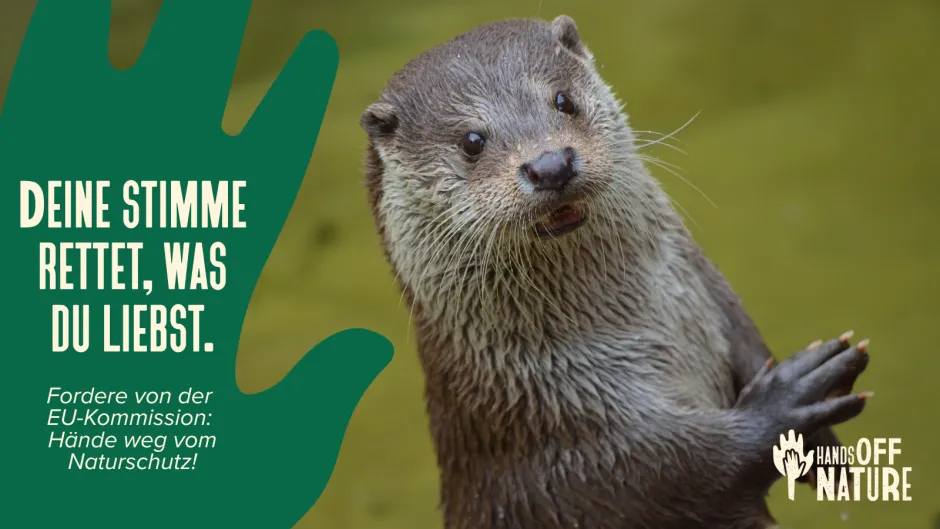 Kampagne HandsOffNature mit Otter und Aufschrift auf einer grafischen Handfläche "Deine Stimme rettet, was du liebst"